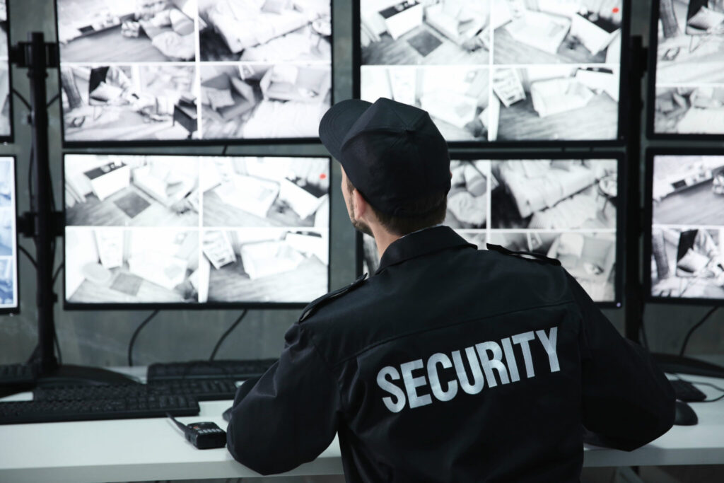 5 Ways Professional Security Services Help With Event Management 1 Event security guards